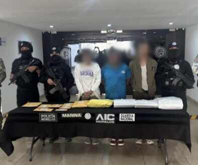 95c167b9-e855-40ed-ae4d-424422429bd4