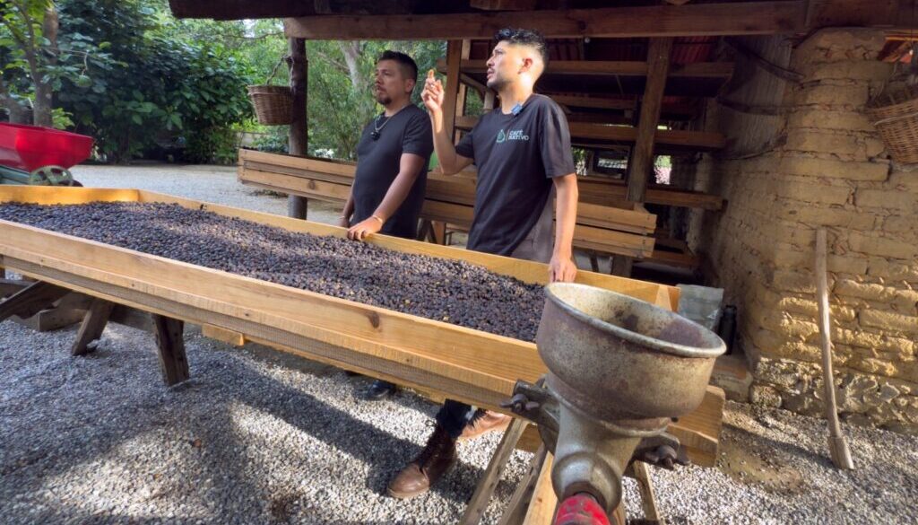 60ac0b87-1ee4-49c4-8c0d-e115a89d7e3c