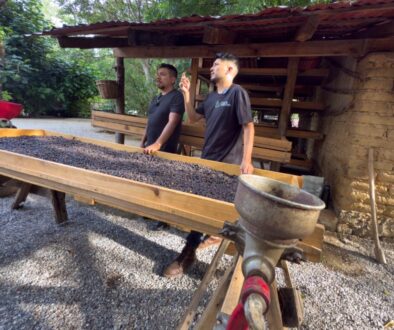 60ac0b87-1ee4-49c4-8c0d-e115a89d7e3c