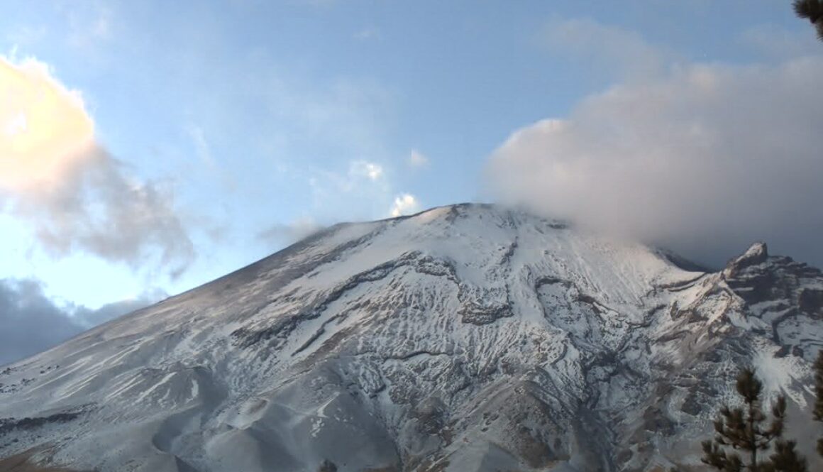 WhatsApp Image 2026-03-30 at 12.00.29 PM