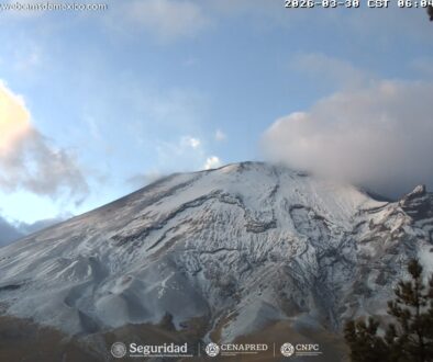 WhatsApp Image 2026-03-30 at 12.00.29 PM