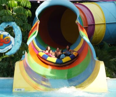 46391d2e-681b-4d06-8198-2da87516b2bb