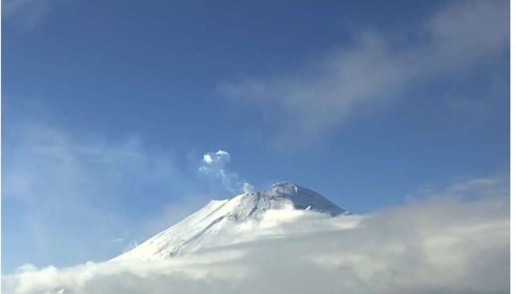 795ea86c-5317-42fa-bba2-9655a57d16ec