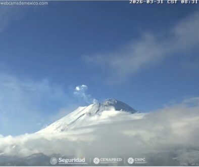 795ea86c-5317-42fa-bba2-9655a57d16ec