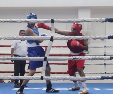 e8dcc315-356e-49b3-b839-25a816efee39