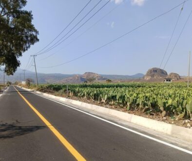 c0400584-cac1-4d2f-af84-1291d4cf13b7