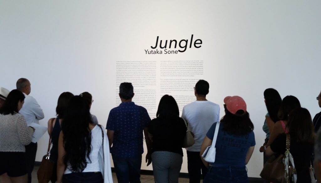 cd06ba20-eec7-48ab-8765-7a95eea693b8