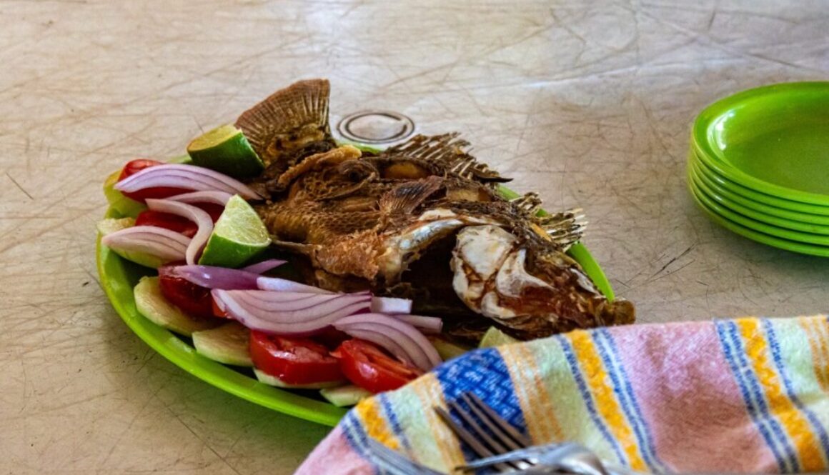 0a897919-4152-4b16-b01b-02c9d9ddbc70