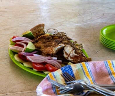 0a897919-4152-4b16-b01b-02c9d9ddbc70