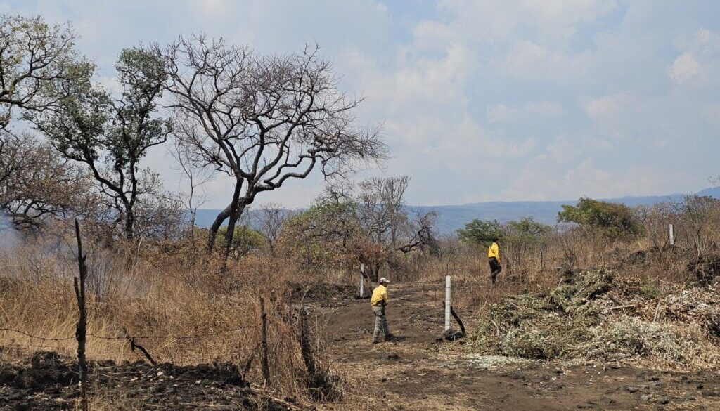 7e41244b-d536-4864-ba70-ac6687690fa3