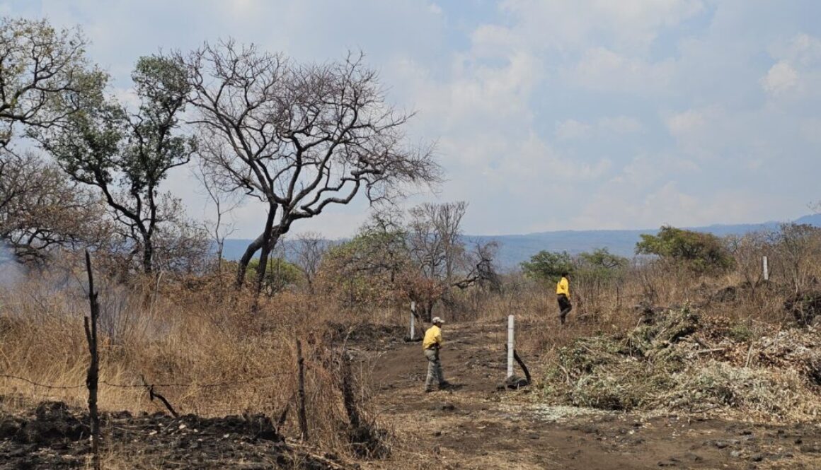 7e41244b-d536-4864-ba70-ac6687690fa3