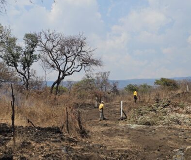 7e41244b-d536-4864-ba70-ac6687690fa3