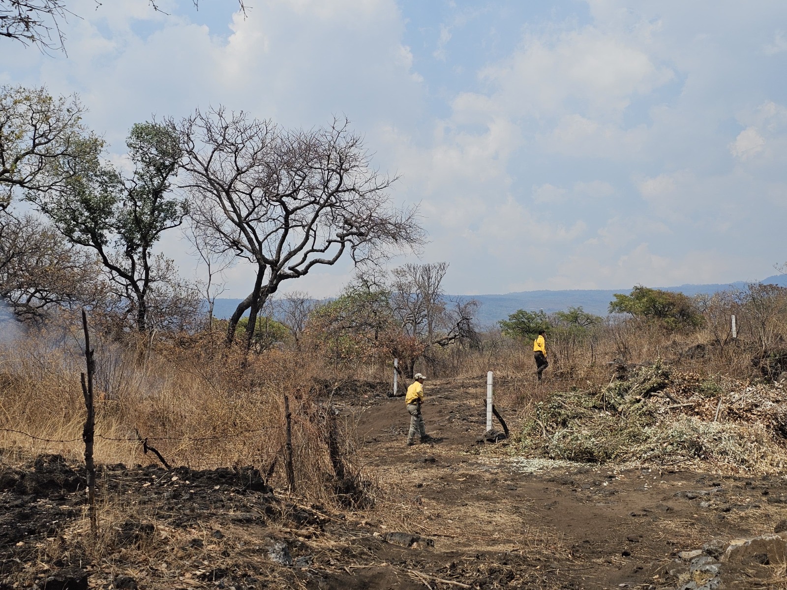 DETECTAN DRONES DE LA SDS INCENDIO PROVOCADO EN EL PARQUE NACIONAL EL TEPOZTECO