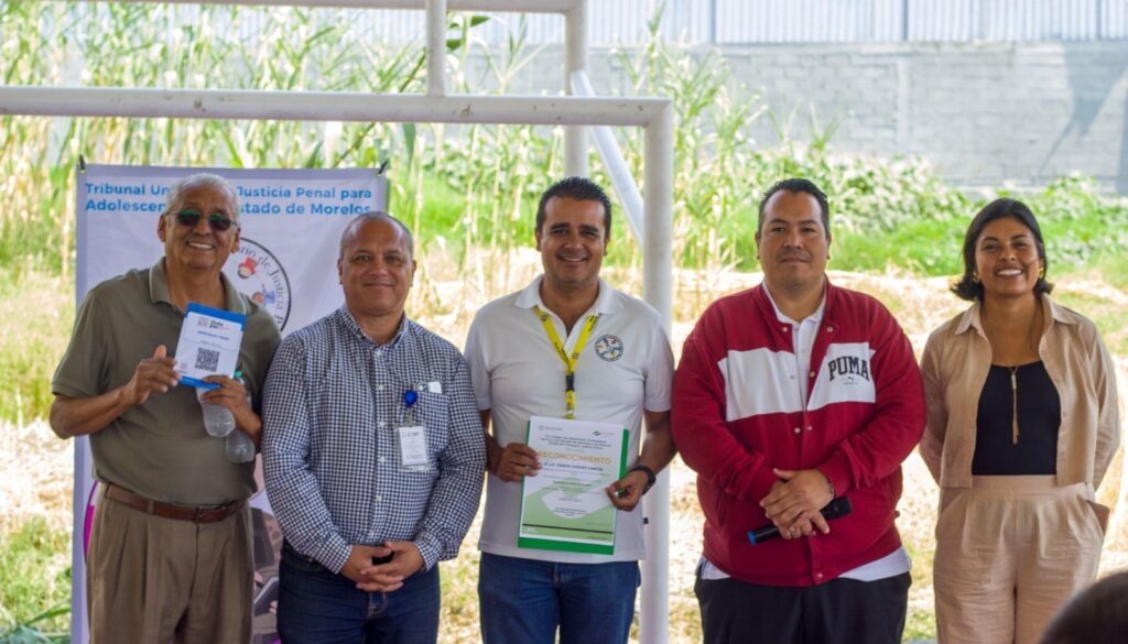 31fc287c-b5b8-4946-8f33-89b55aa45f07