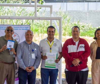 31fc287c-b5b8-4946-8f33-89b55aa45f07