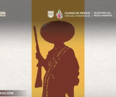 a2217ddd-ab50-4138-9d10-70cfefd8f564