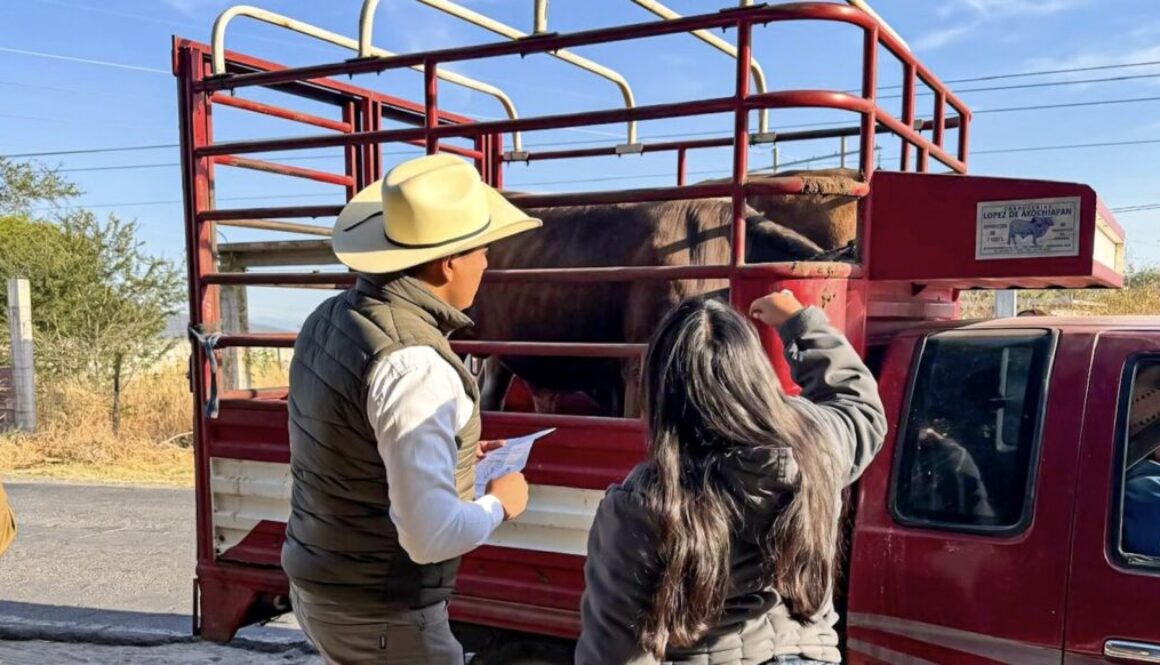 e3922dbe-cb85-4cf6-a9f5-53ebdd066b55