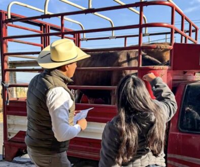 e3922dbe-cb85-4cf6-a9f5-53ebdd066b55