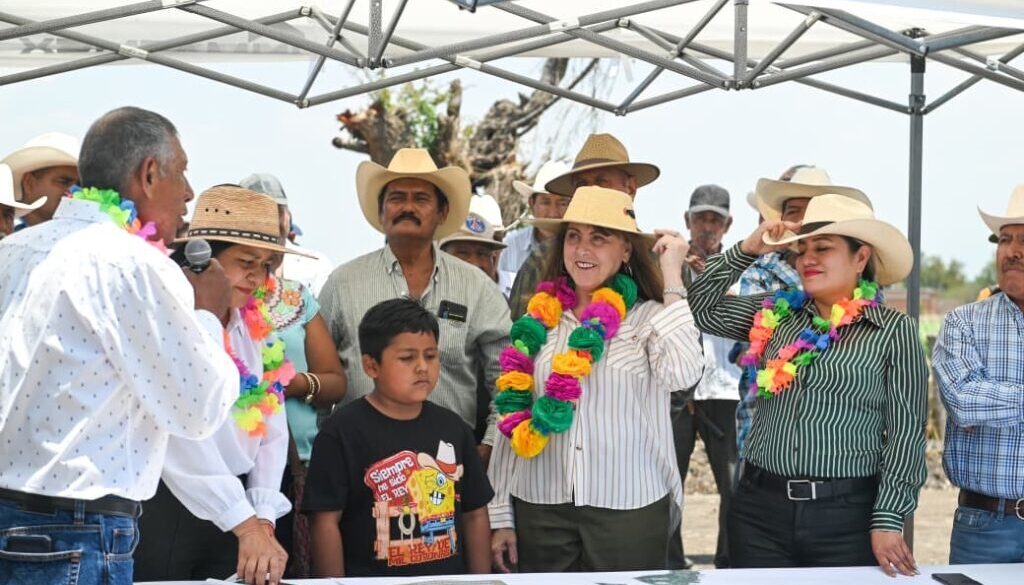 11d76c4e-b8be-40a8-a4d3-3dbde756e263