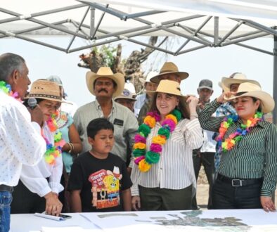 11d76c4e-b8be-40a8-a4d3-3dbde756e263