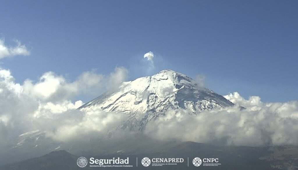 47ca0f95-353c-4cdb-813e-5a27d3ddebab