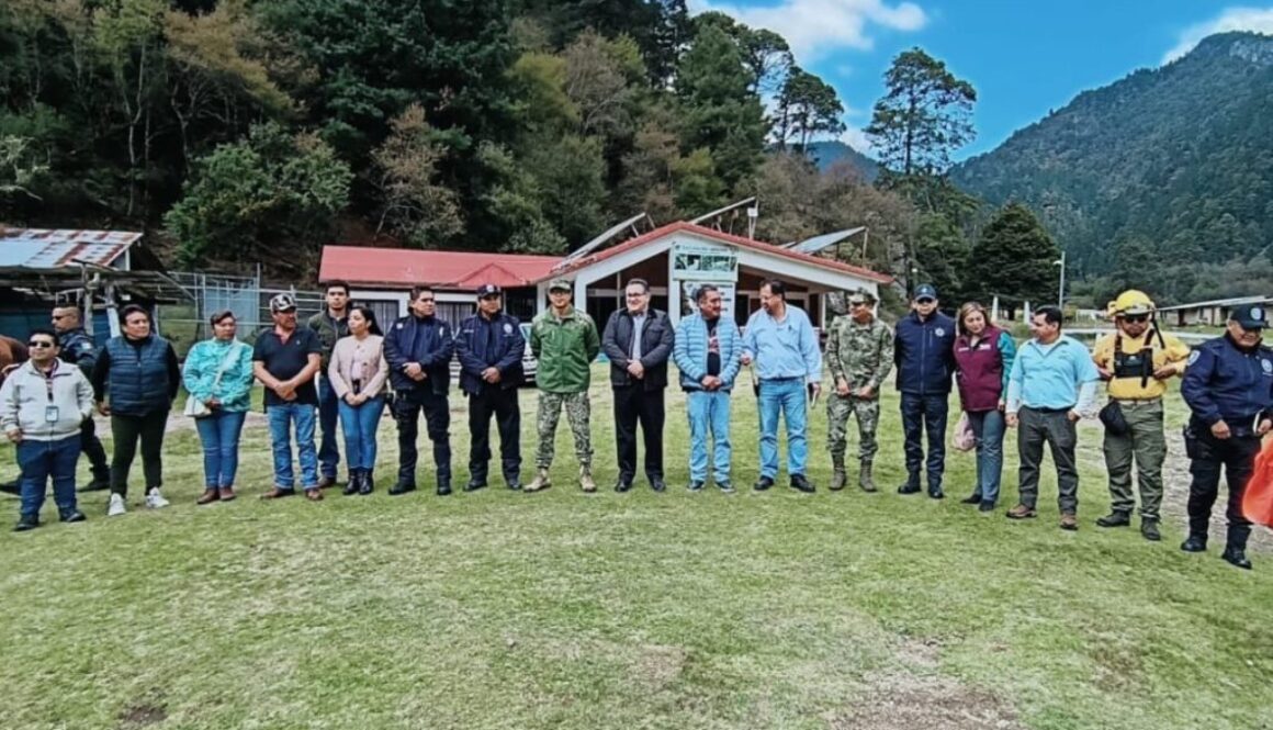 f260d556-806f-41f9-be42-f1114b0c7d7a