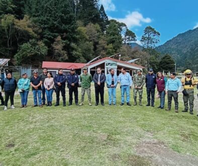 f260d556-806f-41f9-be42-f1114b0c7d7a