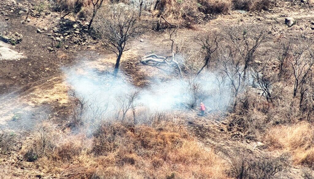 b8098b09-0f8c-4f20-9661-dff12dccd62f