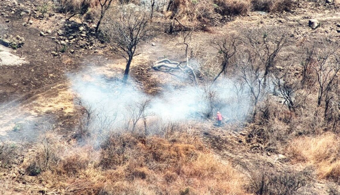 b8098b09-0f8c-4f20-9661-dff12dccd62f