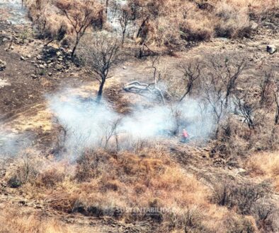 b8098b09-0f8c-4f20-9661-dff12dccd62f