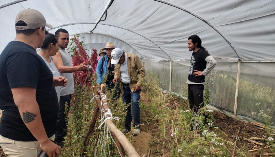 3df98308-4c7d-4f5e-970a-7b6607c1a669