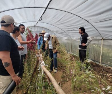 3df98308-4c7d-4f5e-970a-7b6607c1a669