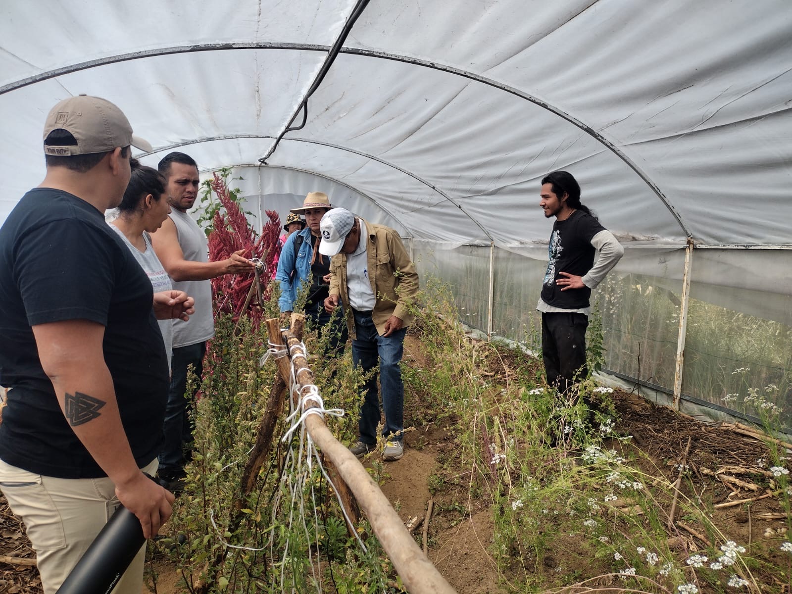 FORTALECE SECRETARÍA DE BIENESTAR FORMACIÓN DE FACILITADORES PARA HUERTOS COMUNITARIOS