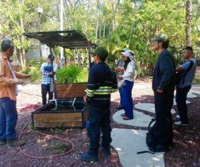 46e8965d-a822-4bdc-bbe6-355b655e149b