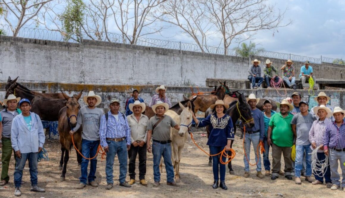 2f50a8a5-789d-40d0-b41d-29ab5557ecd2