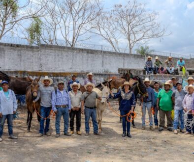 2f50a8a5-789d-40d0-b41d-29ab5557ecd2