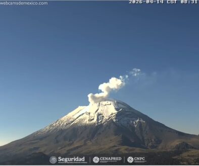 894d6f78-a078-4d12-849c-7847b8cdc78f