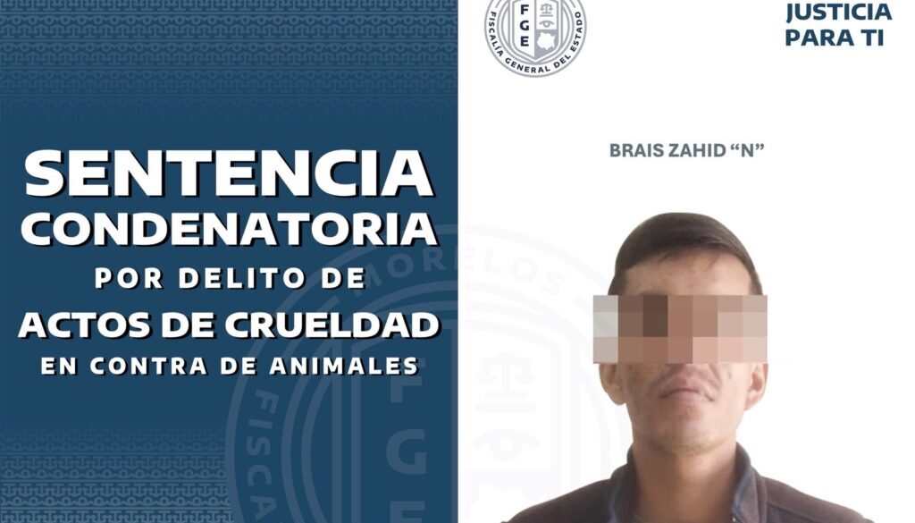 efc3c325-ff20-4d01-b6a2-ee36625c8859