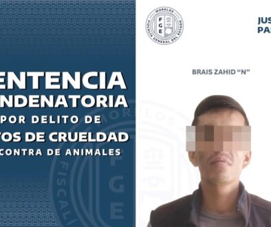 efc3c325-ff20-4d01-b6a2-ee36625c8859