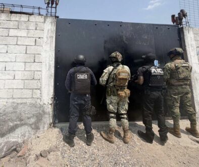 2ce8ed71-a713-463b-8430-690ee7f80bbd