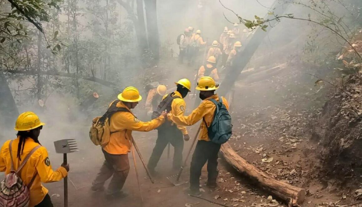 N3KU5D4AD5BGZDA2PDKNWKW4SY