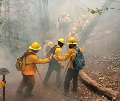 N3KU5D4AD5BGZDA2PDKNWKW4SY