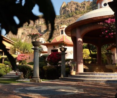 19ac84ec-77d6-4857-abea-c9422e40f748