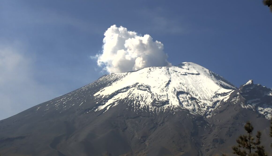 4794d6cc-ae20-472d-99cb-df5d217900a5