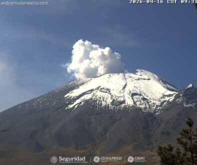 4794d6cc-ae20-472d-99cb-df5d217900a5