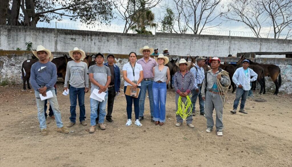 882293a3-4635-40a5-94fb-cdf0e2e1b043