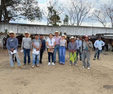 882293a3-4635-40a5-94fb-cdf0e2e1b043