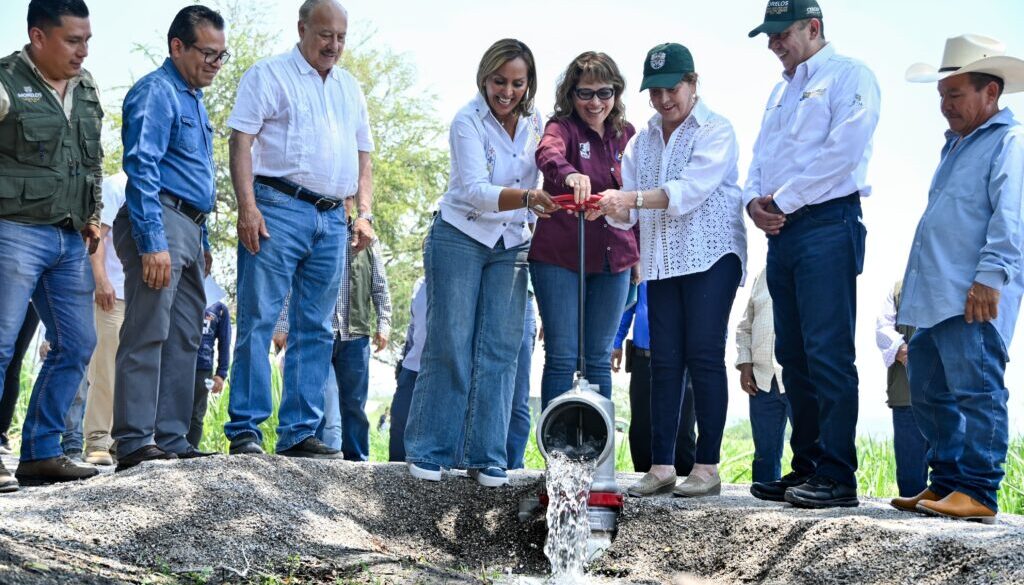 5613acd2-38f8-4f79-88b6-049879b5fe17