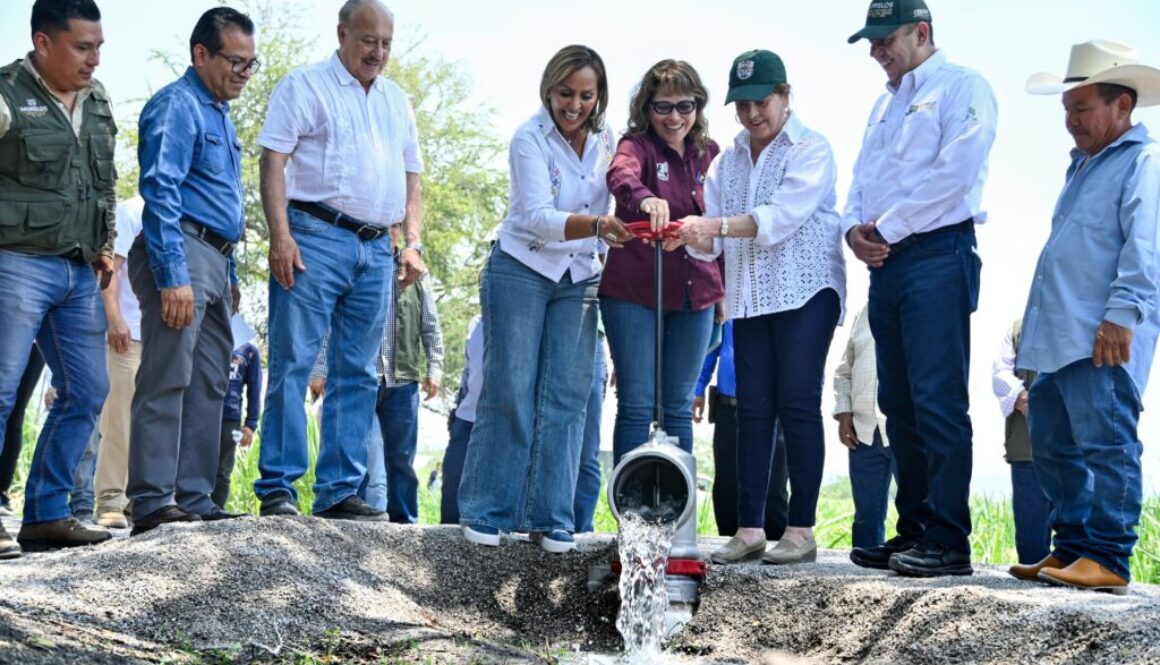 5613acd2-38f8-4f79-88b6-049879b5fe17