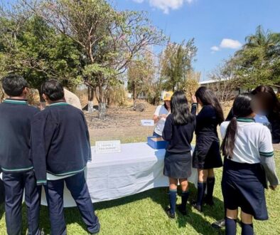 5102b7ee-1e37-4f07-a94f-8c5ffdf016b3